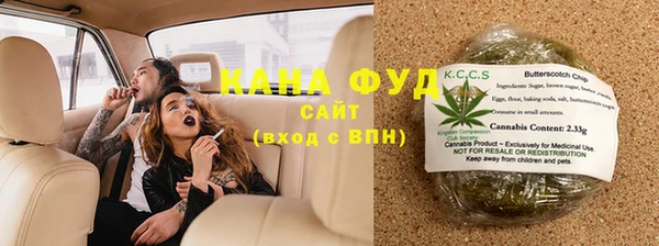 прущий лед Вяземский