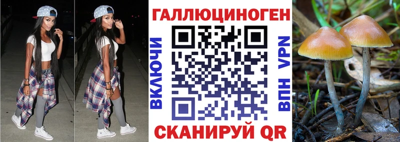 Галлюциногенные грибы Psilocybe  закладки  darknet официальный сайт  Городовиковск 