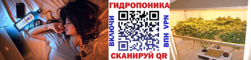 Конопля Bruce Banner  Городовиковск 